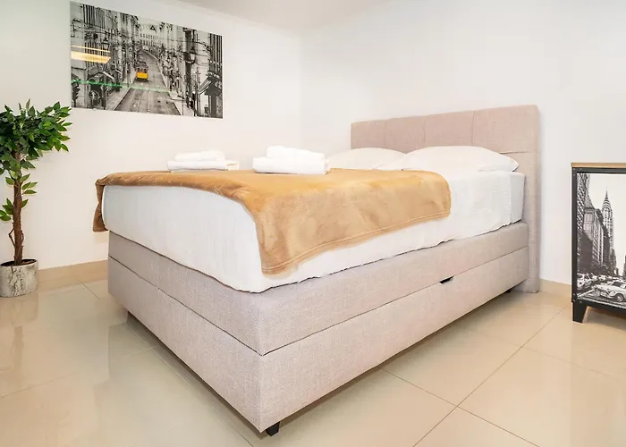 Porto With Terrace Apartment